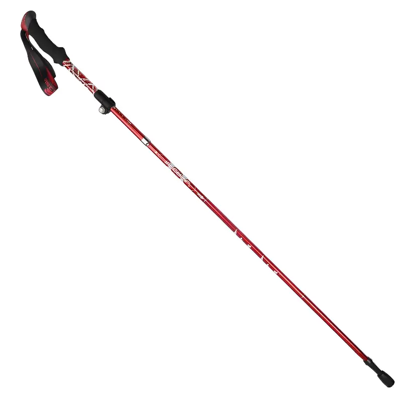 Image du produit 19